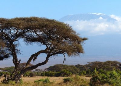 Lemosho 8 Days Kilimanjaro Climb