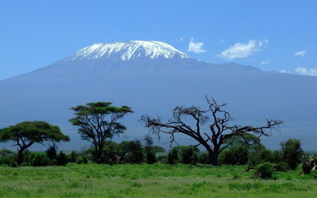5 Day Kilimanjaro Climb Marangu Route