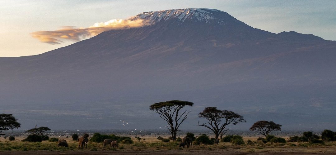 Northern Circuit 9 Days Kilimanjaro Climb