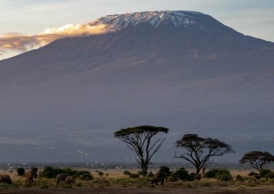 Northern Circuit 9 Days Kilimanjaro Climb