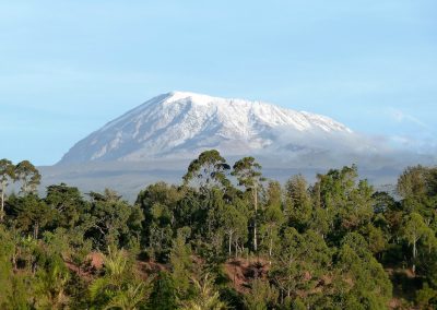 Lemosho 7 Days Kilimanjaro Climb