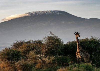 Rongai 7 Days Kilimanjaro Climb