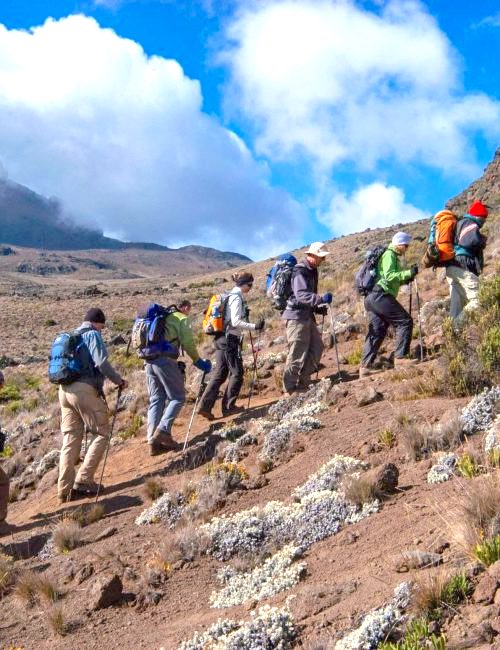 MACHAME 7 DAYS KILIMANJARO CLIMB