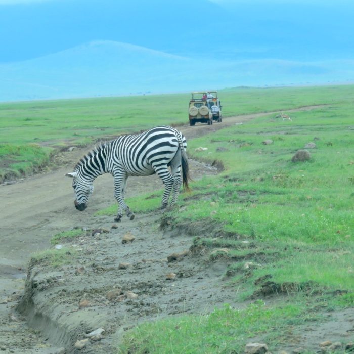 CRATER SAFARI