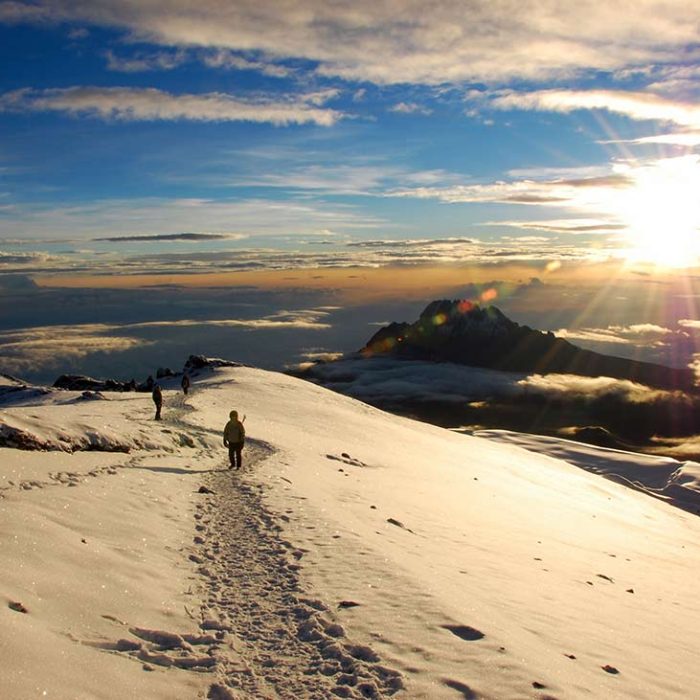 Shira kilimanjaro