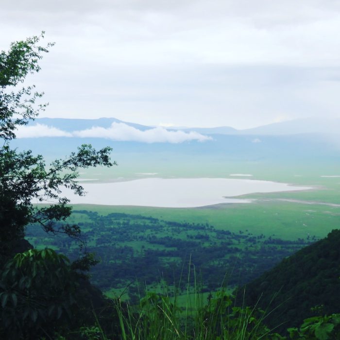 crzter ngorongoro