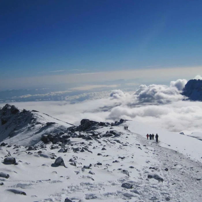 lemosho kilimanjaro