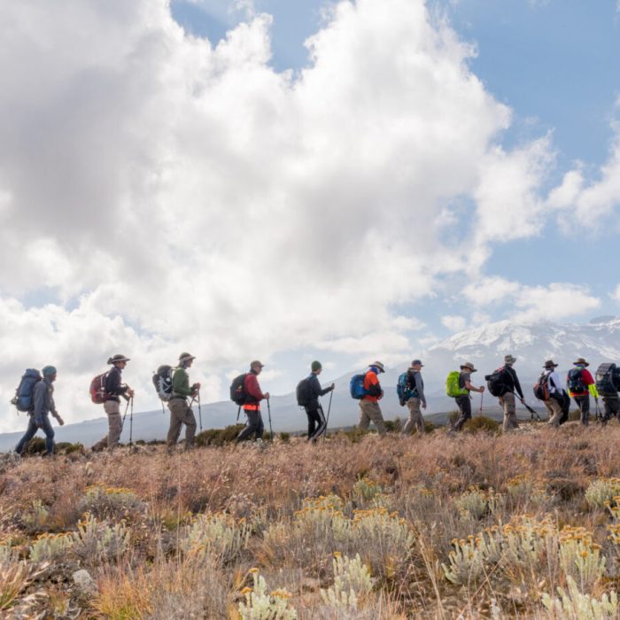 lemosho trek Climb