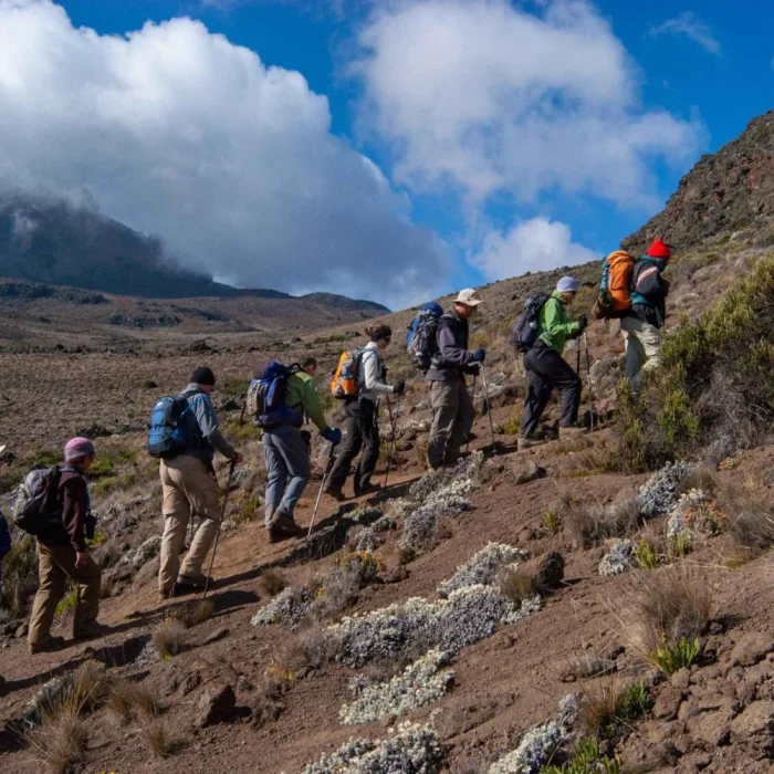 machame terk