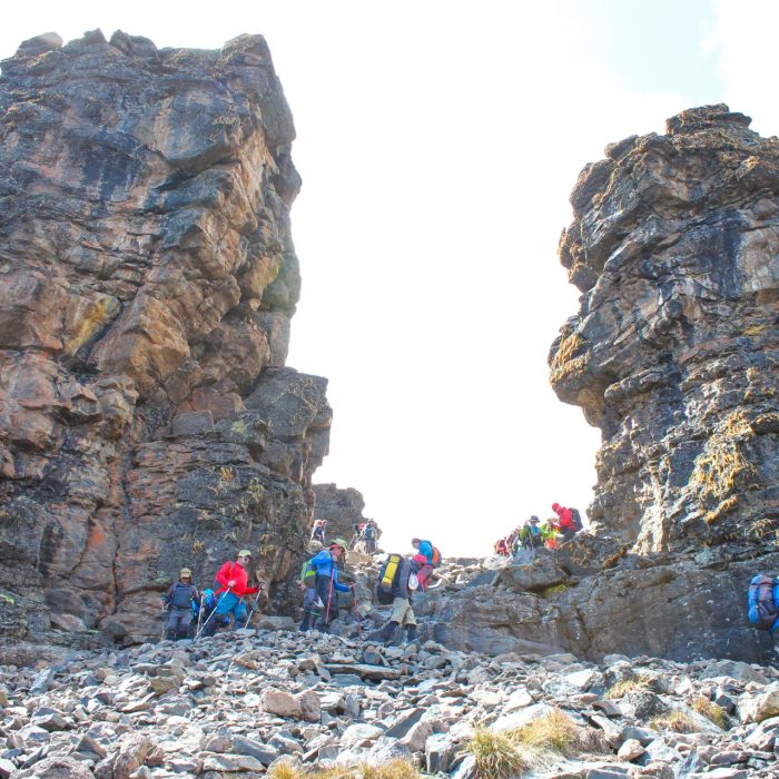 rongai climbing