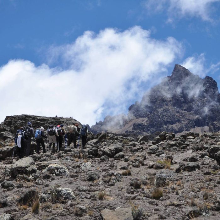 rongai trek