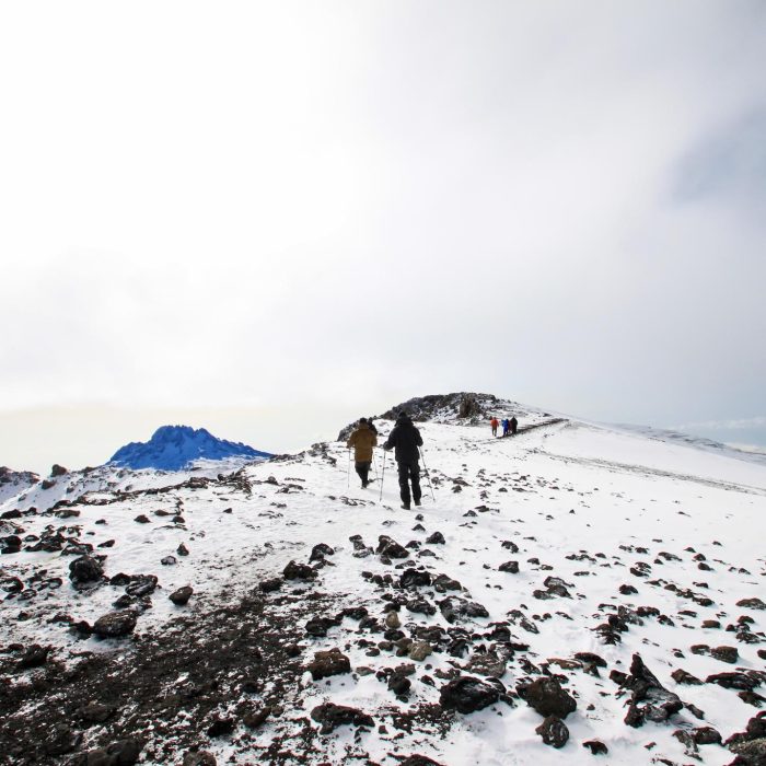 rongai trekking kili